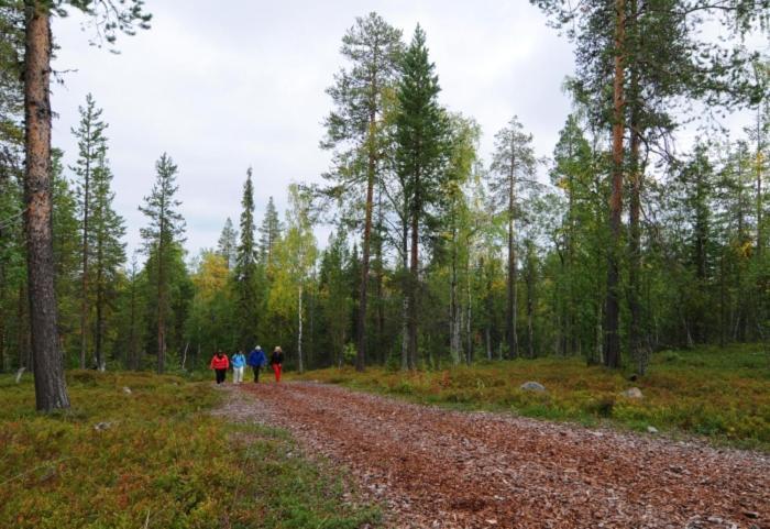 Taruilevi 2 - Villa Levin Taiga - Cabin Close To The Center Of Levi Kittilä Buitenkant foto